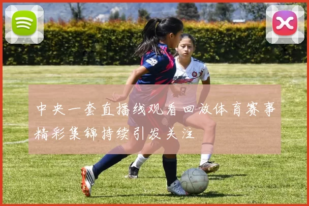 中央一套直播线观看回放体育赛事精彩集锦持续引发关注